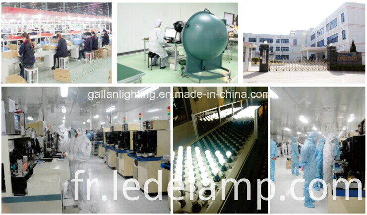 Good Quality Long Life LED Bulb for Sale